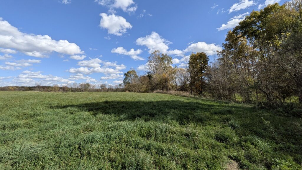 Farm field with tree line and blue sky in the background.