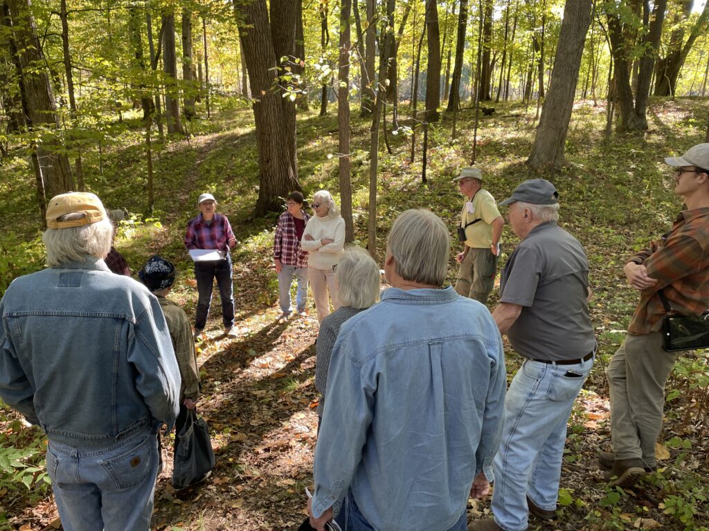 Group of people stand in a forest with sunlight coming through the yellow leaves.