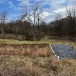 The Work That Happens Before the Wildflowers Bloom