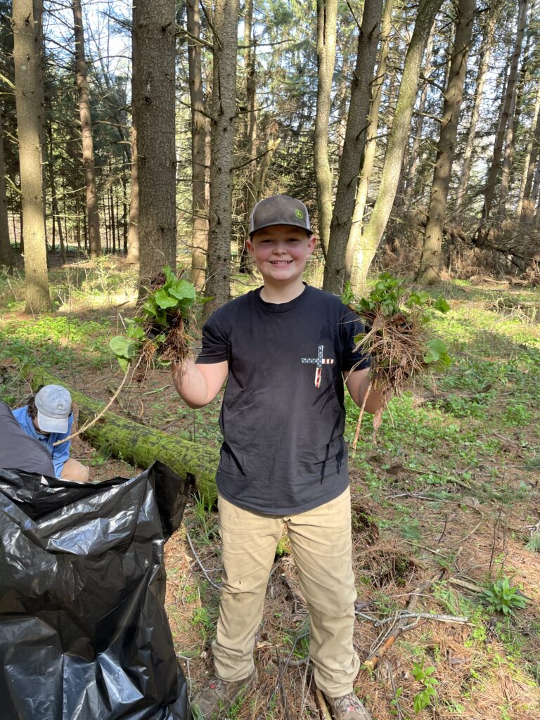 Student holds two garlic mustard plants and stands in a forest.