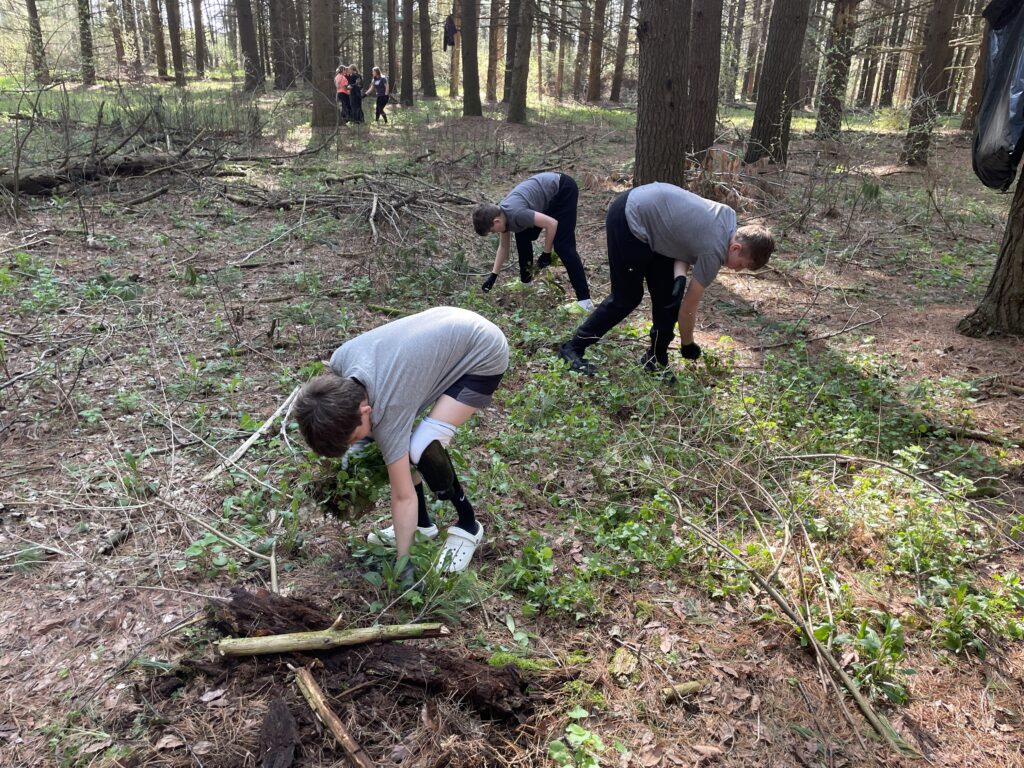 Three students pull plants in a forest.