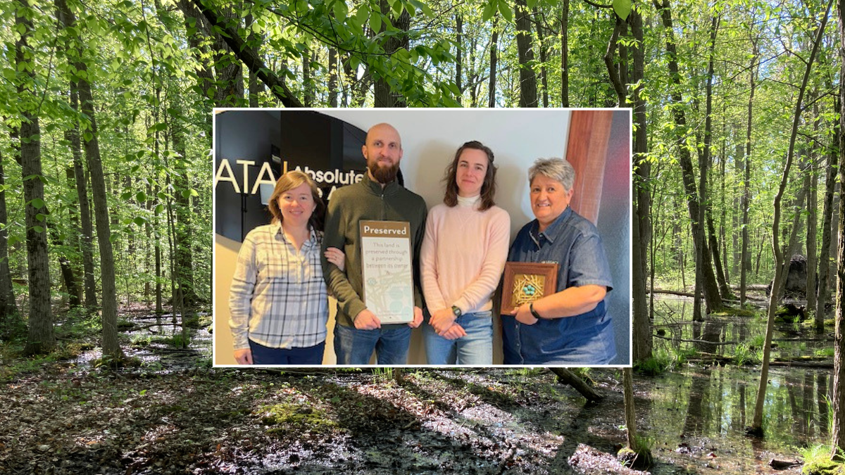 Background photo of wetland in a forest of tall trees. Image of four people on top of the scenic photo.