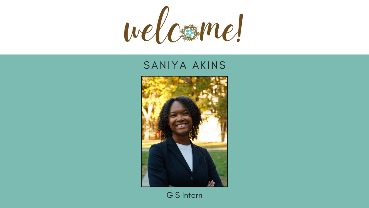 Person standing with a sunlit forest behind them. Text says Welcome Saniya Akins GIS Intern.